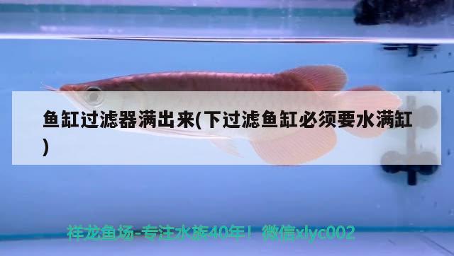 魚缸過濾器滿出來(下過濾魚缸必須要水滿缸) 觀賞魚百科 第1張