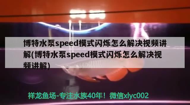 博特水泵speed模式閃爍怎么解決視頻講解(博特水泵speed模式閃爍怎么解決視頻講解) 垂釣樂園