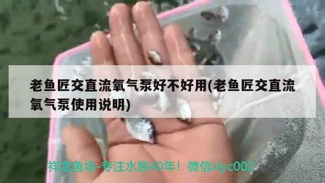 老魚匠交直流氧氣泵好不好用(老魚匠交直流氧氣泵使用說明) 老魚匠