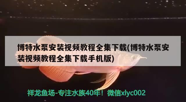 博特水泵安裝視頻教程全集下載(博特水泵安裝視頻教程全集下載手機版) 博特水族