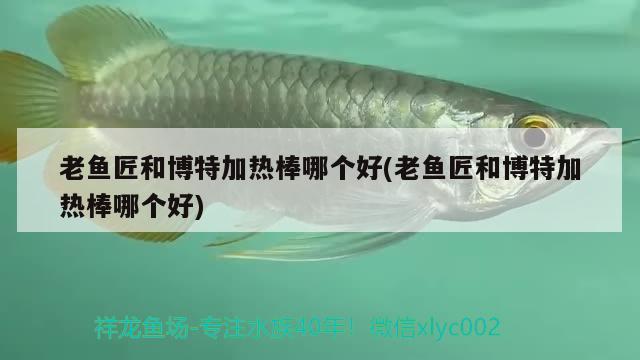 老魚匠和博特加熱棒哪個好(老魚匠和博特加熱棒哪個好) 博特水族