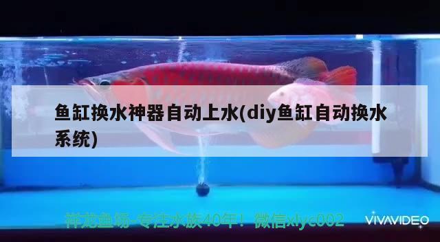 魚缸換水神器自動上水(diy魚缸自動換水系統(tǒng))