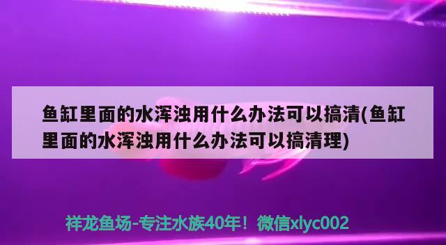 魚缸里面的水渾濁用什么辦法可以搞清(魚缸里面的水渾濁用什么辦法可以搞清理)