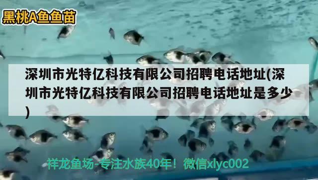 深圳市光特億科技有限公司招聘電話地址(深圳市光特億科技有限公司招聘電話地址是多少)