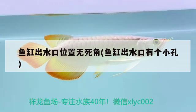 魚缸出水口位置無(wú)死角(魚缸出水口有個(gè)小孔)