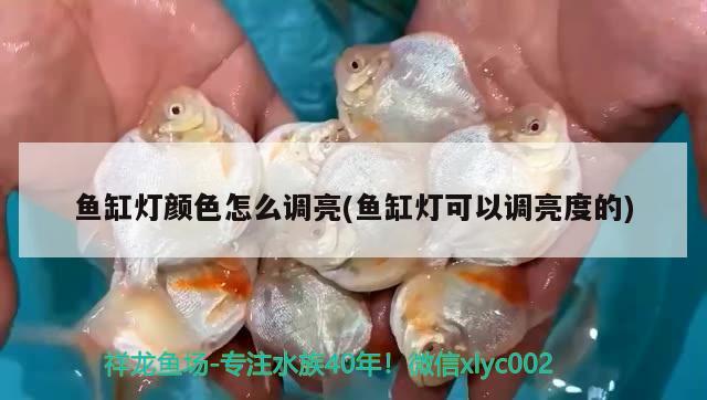 魚缸燈顏色怎么調(diào)亮(魚缸燈可以調(diào)亮度的)