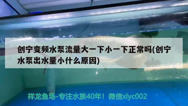 創(chuàng)寧變頻水泵流量大一下小一下正常嗎(創(chuàng)寧水泵出水量小什么原因) 創(chuàng)寧水族