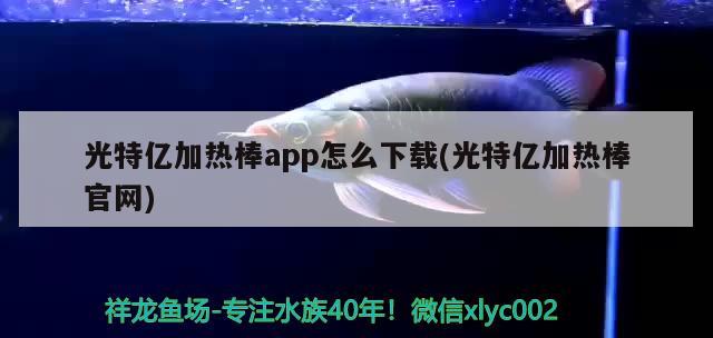 光特億加熱棒app怎么下載(光特億加熱棒官網(wǎng)) 光特億