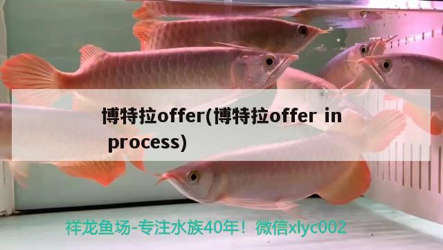 博特拉offer(博特拉offerinprocess) 博特水族