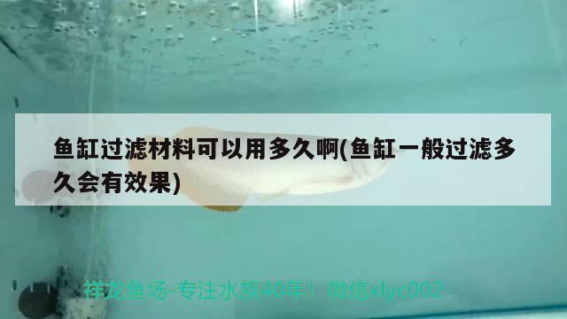 魚缸過濾材料可以用多久啊(魚缸一般過濾多久會(huì)有效果)