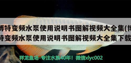 博特變頻水泵使用說明書圖解視頻大全集(博特變頻水泵使用說明書圖解視頻大全集下載) 博特水族