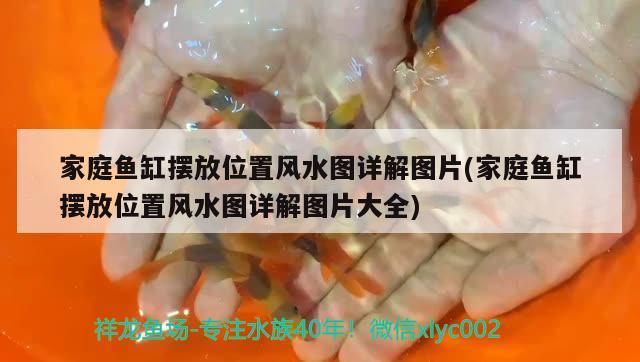 家庭魚缸擺放位置風(fēng)水圖詳解圖片(家庭魚缸擺放位置風(fēng)水圖詳解圖片大全) 魚缸風(fēng)水