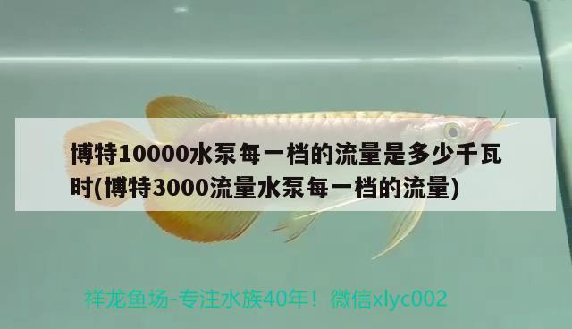 博特10000水泵每一檔的流量是多少千瓦時(博特3000流量水泵每一檔的流量) 博特水族