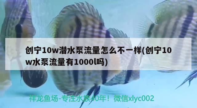 創(chuàng)寧10w潛水泵流量怎么不一樣(創(chuàng)寧10w水泵流量有1000l嗎)