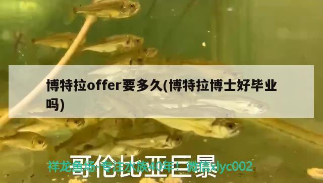 博特拉offer要多久(博特拉博士好畢業(yè)嗎)