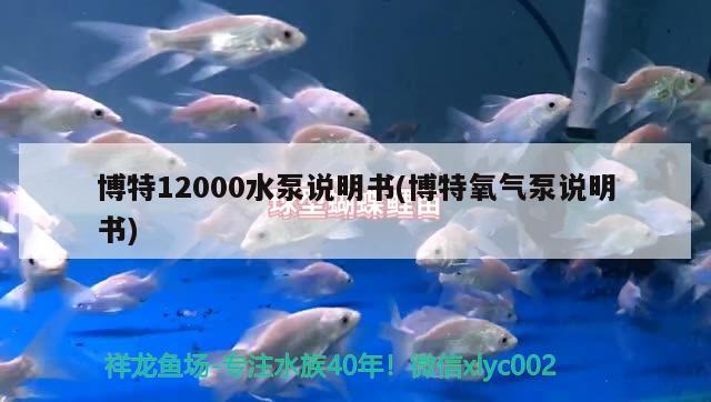 博特12000水泵說明書(博特氧氣泵說明書)