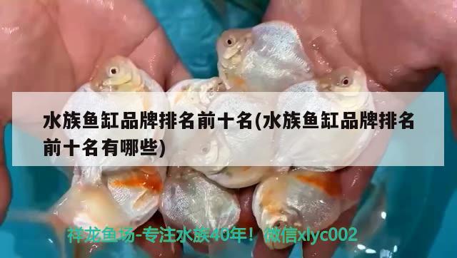 水族魚缸品牌排名前十名(水族魚缸品牌排名前十名有哪些) 泰國(guó)虎魚（泰虎）