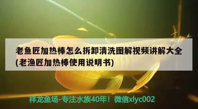 老魚匠加熱棒怎么拆卸清洗圖解視頻講解大全(老漁匠加熱棒使用說(shuō)明書) 老魚匠