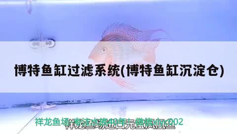 博特魚(yú)缸過(guò)濾系統(tǒng)(博特魚(yú)缸沉淀倉(cāng)) 博特水族