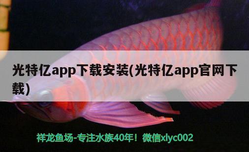 光特億app下載安裝(光特億app官網(wǎng)下載)