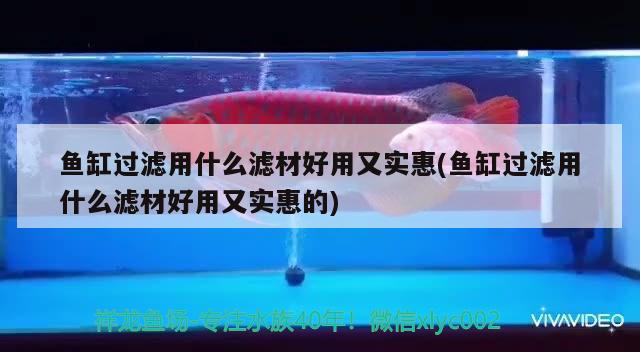 魚(yú)缸過(guò)濾用什么濾材好用又實(shí)惠(魚(yú)缸過(guò)濾用什么濾材好用又實(shí)惠的) 巴西亞魚(yú)