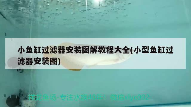 小魚缸過濾器安裝圖解教程大全(小型魚缸過濾器安裝圖) 虎斑恐龍魚