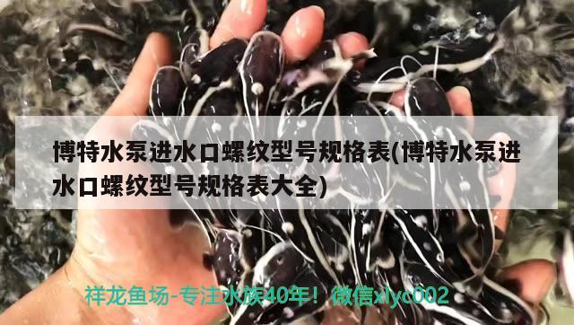 博特水泵進水口螺紋型號規(guī)格表(博特水泵進水口螺紋型號規(guī)格表大全)