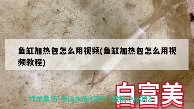 魚缸加熱包怎么用視頻(魚缸加熱包怎么用視頻教程)