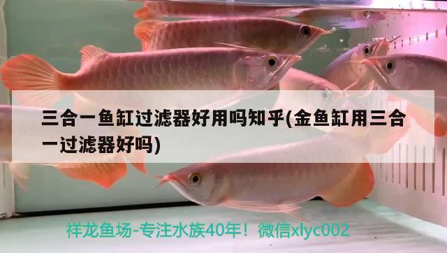 三合一魚缸過濾器好用嗎知乎(金魚缸用三合一過濾器好嗎) 馬拉莫寶石魚