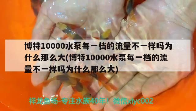 博特10000水泵每一檔的流量不一樣嗎為什么那么大(博特10000水泵每一檔的流量不一樣嗎為什么那么大) 博特水族