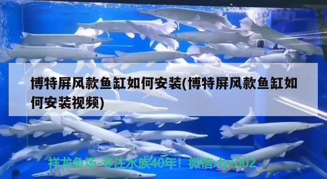 博特屏風(fēng)款魚缸如何安裝(博特屏風(fēng)款魚缸如何安裝視頻)