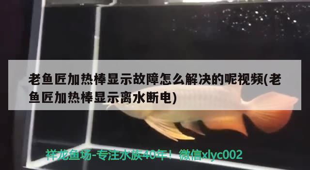 老魚匠加熱棒顯示故障怎么解決的呢視頻(老魚匠加熱棒顯示離水斷電) 老魚匠