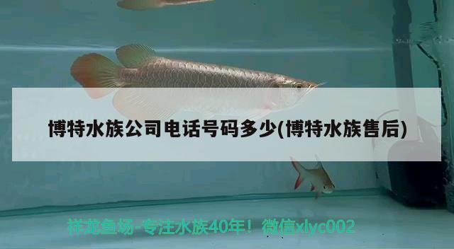 博特水族公司電話號(hào)碼多少(博特水族售后) 博特水族