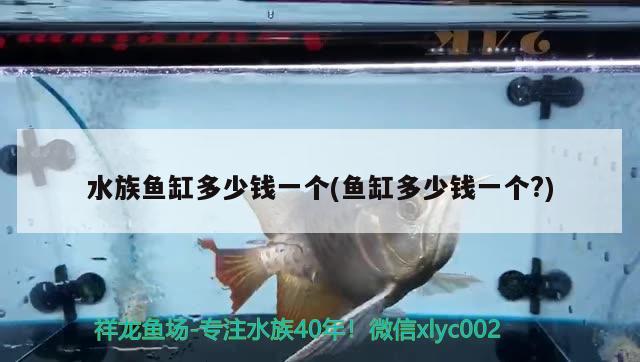 水族魚缸多少錢一個(魚缸多少錢一個?)