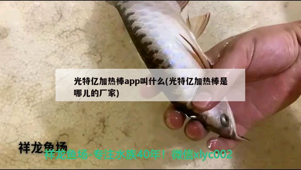 光特億加熱棒app叫什么(光特億加熱棒是哪兒的廠家) 光特億