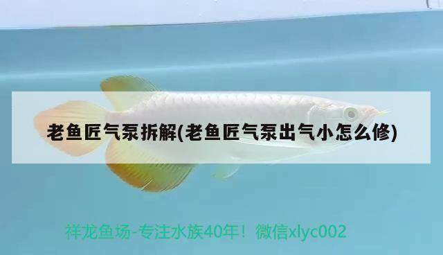 老魚匠氣泵拆解(老魚匠氣泵出氣小怎么修) 老魚匠