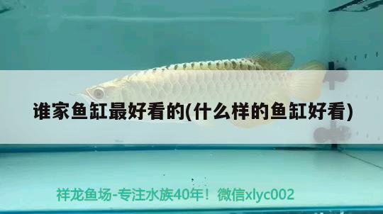 誰家魚缸最好看的(什么樣的魚缸好看) 照明器材