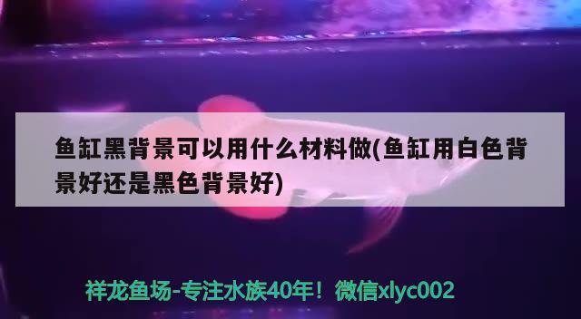 魚缸黑背景可以用什么材料做(魚缸用白色背景好還是黑色背景好)