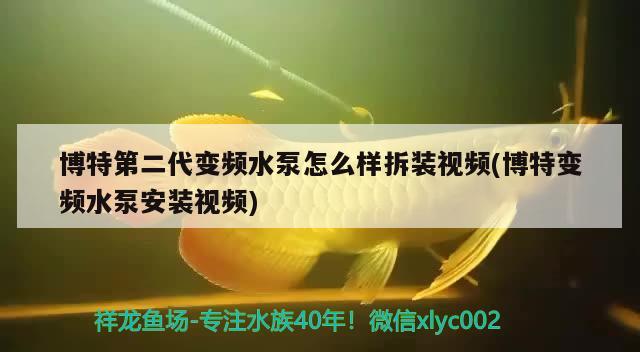 博特第二代變頻水泵怎么樣拆裝視頻(博特變頻水泵安裝視頻) 博特水族