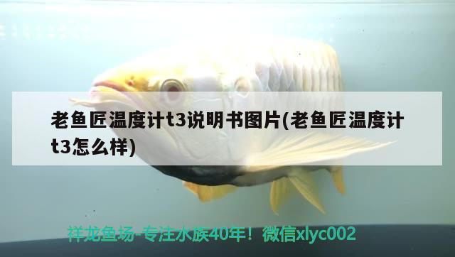 老魚匠溫度計t3說明書圖片(老魚匠溫度計t3怎么樣) 老魚匠