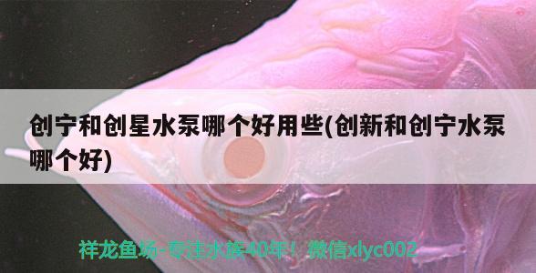 創(chuàng)寧和創(chuàng)星水泵哪個好用些(創(chuàng)新和創(chuàng)寧水泵哪個好)