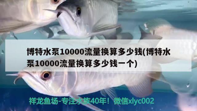 博特水泵10000流量換算多少錢(博特水泵10000流量換算多少錢一個(gè)) 博特水族