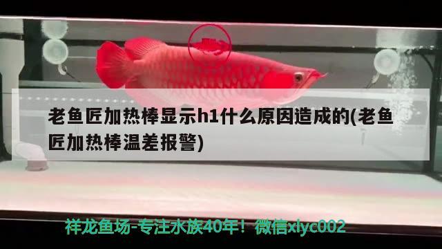 老魚匠加熱棒顯示h1什么原因造成的(老魚匠加熱棒溫差報警) 老魚匠