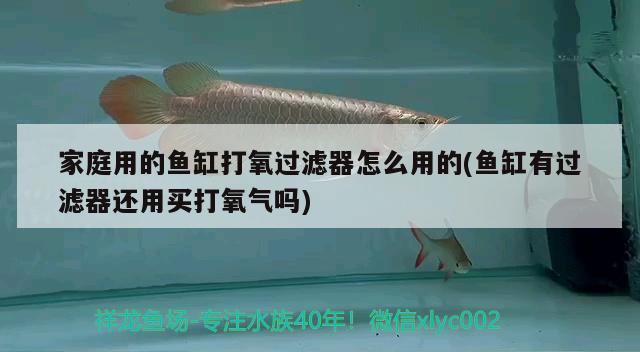 家庭用的魚缸打氧過濾器怎么用的(魚缸有過濾器還用買打氧氣嗎)