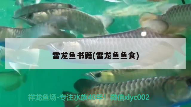 雷龍魚(yú)書(shū)籍(雷龍魚(yú)魚(yú)食) 帝王迷宮