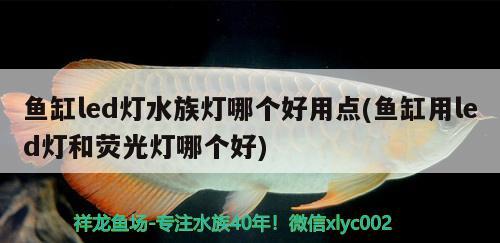 魚缸led燈水族燈哪個好用點(魚缸用led燈和熒光燈哪個好)