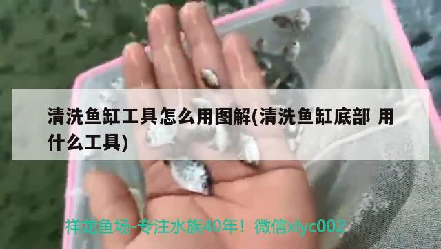 清洗魚缸工具怎么用圖解(清洗魚缸底部用什么工具) 黃鰭鯧魚