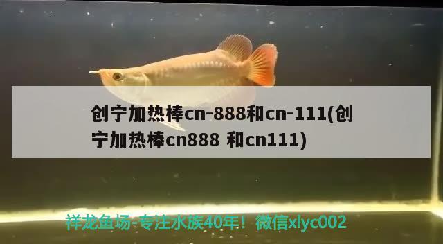 創(chuàng)寧加熱棒cn-888和cn-111(創(chuàng)寧加熱棒cn888和cn111)