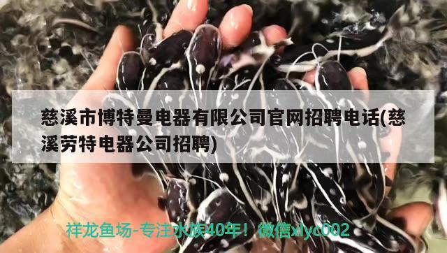 慈溪市博特曼電器有限公司官網(wǎng)招聘電話(慈溪勞特電器公司招聘)