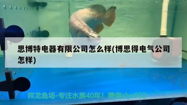 思博特電器有限公司怎么樣(博思得電氣公司怎樣) 博特水族